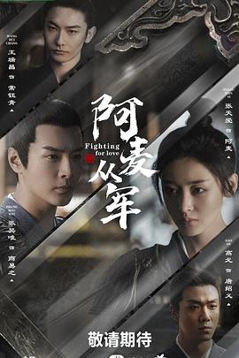 阿麦从军第28集