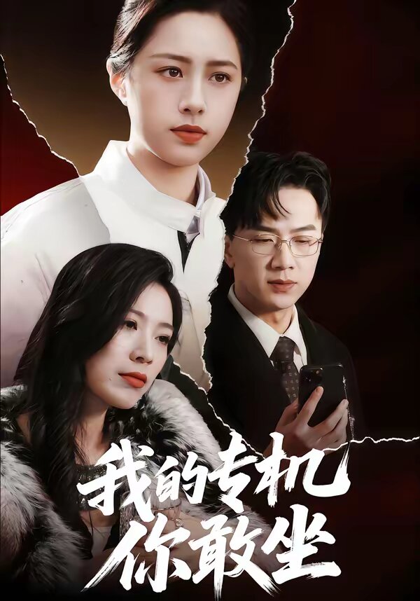 我的专机你敢坐(全集)