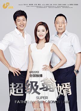 超级翁婿第26集