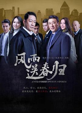 风雨送春归第13集