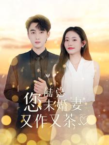 陆总您未婚妻又作又茶第89集