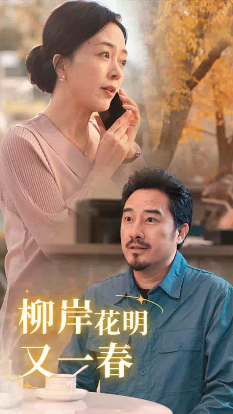 柳暗花明又一春第25集