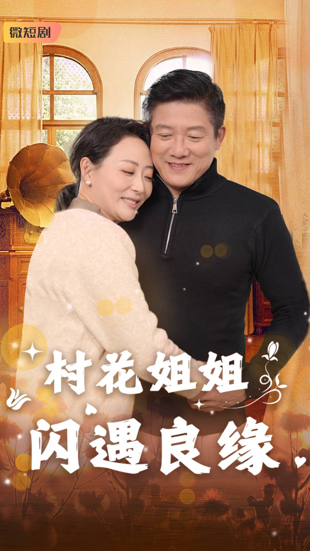 村花姐姐闪遇良缘第26集