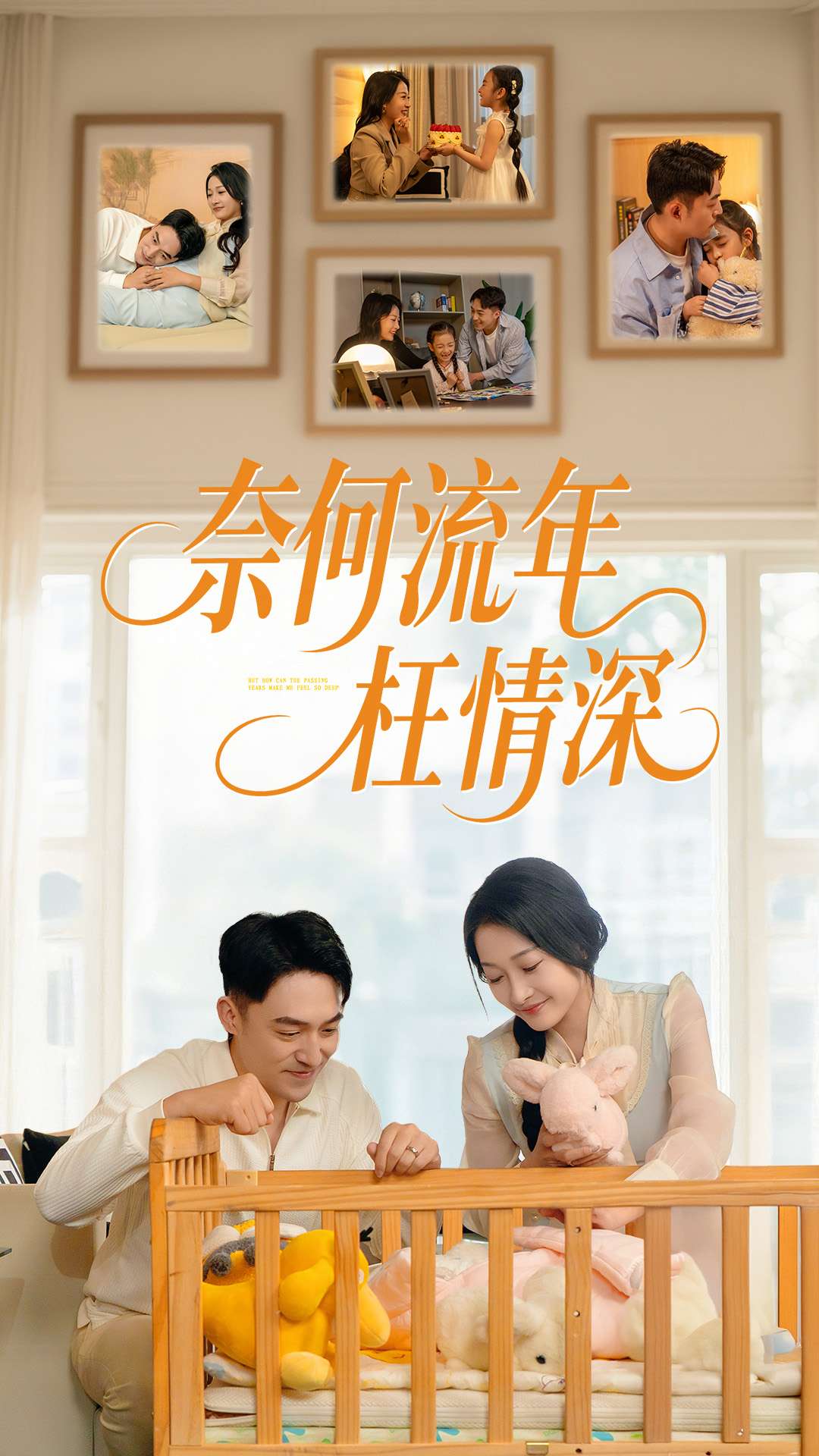奈何流年枉情深(全集)